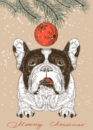 Christmas Vector illustration of French Bulldogのイラスト素材