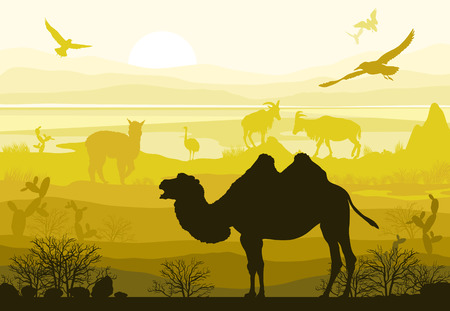 Beauty of nature with wild animals camel, goat, bird, ostrich, alpacaのイラスト素材