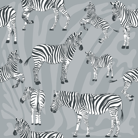 Seamless pattern with wild zebra, Illustrationのイラスト素材