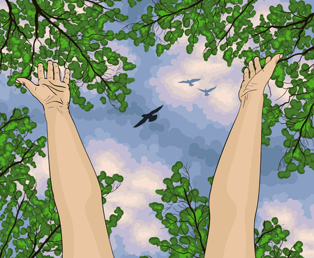 Human arms open upwards, view from below on trees and blue skyのイラスト素材