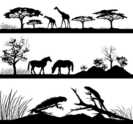 wild animals Giraffes, horses, iguanasのイラスト素材