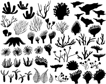 Set of marine life Silhouettesのイラスト素材
