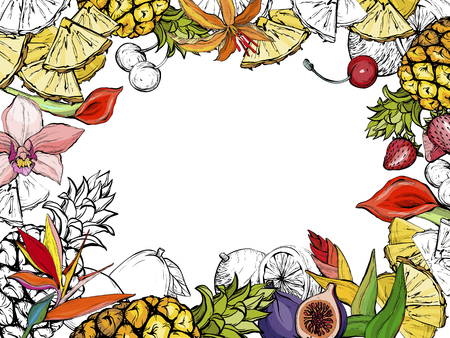 Hand drawn exotic summer background with fruit and flowersのイラスト素材
