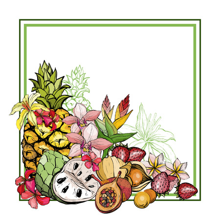 Summer background with fruit and flowersのイラスト素材