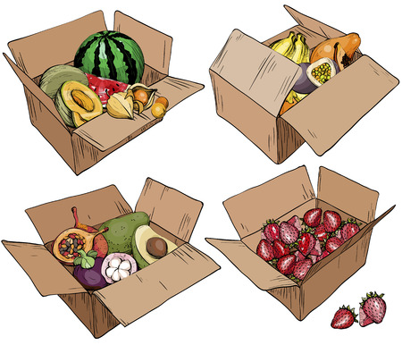 Set of cardboard box with various fruits. Vector illustrationのイラスト素材