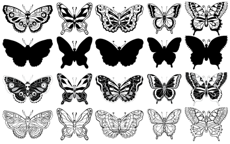 Set of butterflies. Silhouette, sketch and graphic icons. Vector illustration. Black and whiteのイラスト素材