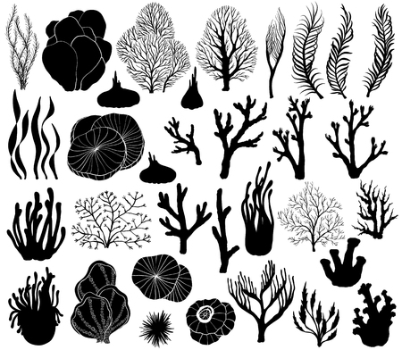 Set of marine corals, Silhouettes, vector illustrationのイラスト素材