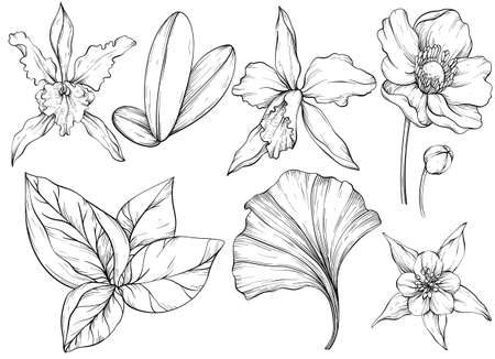 Set of hand drawn jungle leaves and exotic flowers. Black and whiteのイラスト素材