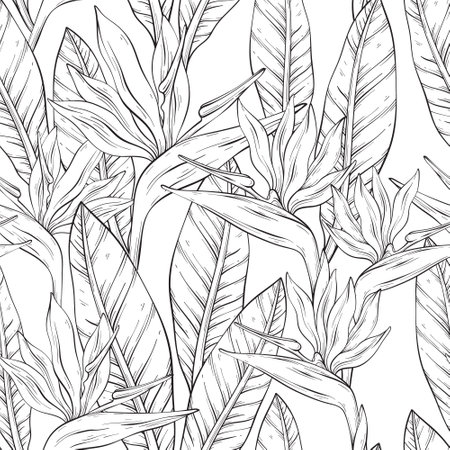 outline pattern with tropical bird of paradiseのイラスト素材