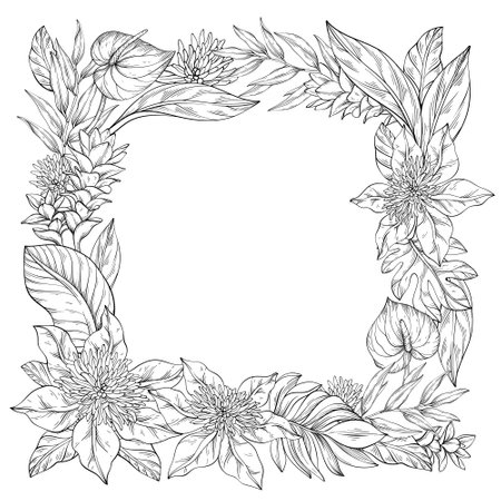 Line art square frame adorned with lush Clematis flowers, ginger flowering and palm leavesのイラスト素材
