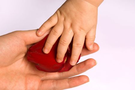 Baby touching rose petalsの写真素材