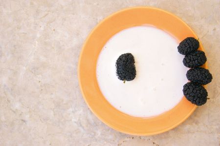 Black mulberries on a plate with vanilla ice creamの写真素材
