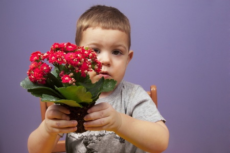 Boy holding flower potの写真素材