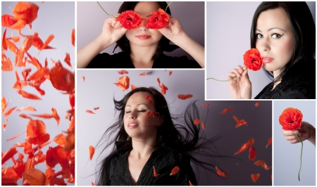 Poppies  collageの写真素材