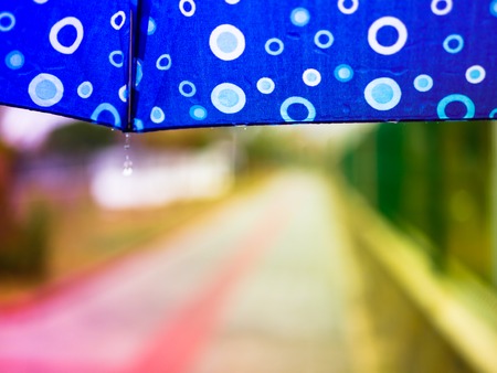 View under the blue umbrella.の写真素材