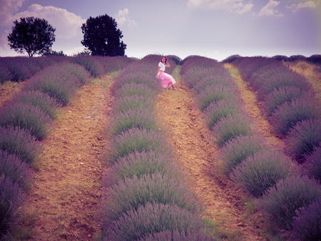 Young pretty red haired woman in pink skirt sitting on the chair in lavender field in Turkey.の写真素材