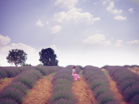Young pretty red haired woman in pink skirt sitting on the chair in lavender field in Turkey.の写真素材