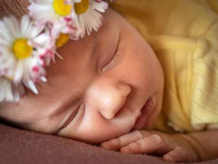 Adorable 8 days old newborn baby girl sleeping in daisy wreath yellow knitted dress on a soft plaid. Portrait studio imageの写真素材