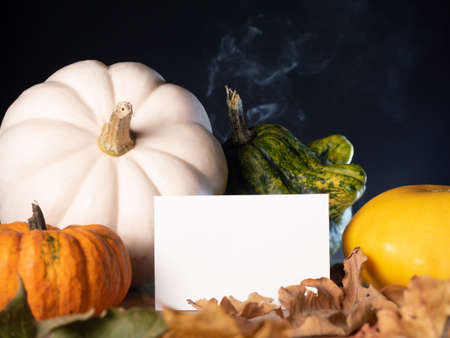 Retro style paper standing near decorative pumpkin on autumn background with dry oak leaves.の写真素材