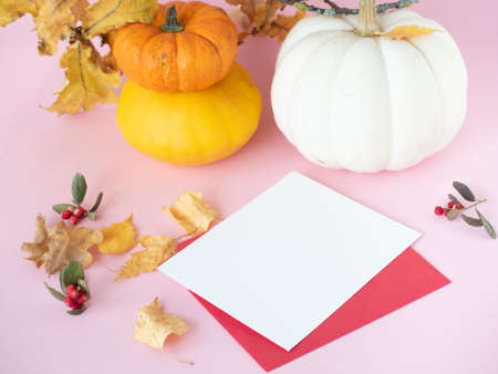 Empty white paper on red envelope, autumn leaves, dry berries and decorative pumpkins on pink backgroundの写真素材