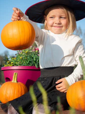 3 years old girl in witch costume holding pumpkin in hand and looking at itの写真素材
