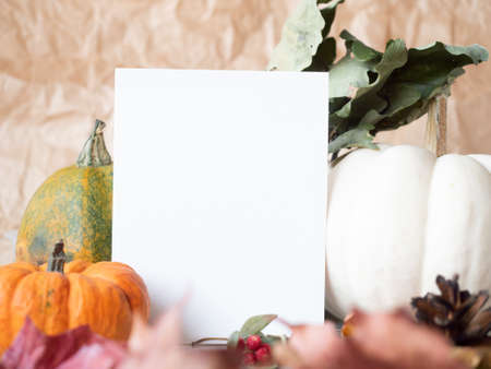 White paper on autumn background with dry leaves berries and decorative pumpkins.の写真素材
