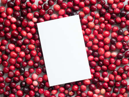white empty paper on group of ripe red cranberriesの写真素材