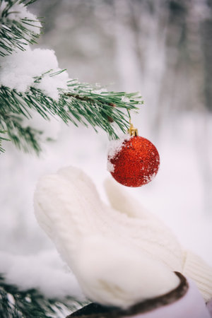 Woman hand in mitten hold red ball hanging on fir tree in snowy winter forest. Happy Christmas and New Year holidaysの写真素材