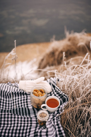 Cup of hot tea, biscuits on the cloth near frozen grass by winter sea. Winter picnic, morning...