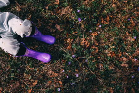 Unrecognizable little girl in violet boots and blue overall lying in spring forest covered with violet flowers Hepatica nobilisの写真素材
