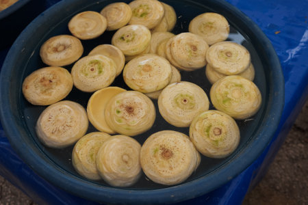 Fresh prepared peeled artichokes in plastic bowl at local market in Turkeyの写真素材