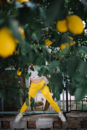 Unrecognizable young woman in yellow pants standing under lemon tree with juicy lemons hanging on it
