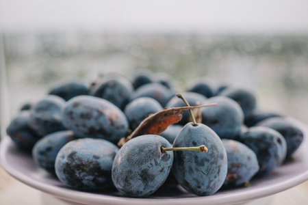A collection of ripe plums is artfully arranged on a plate, showcasing their vibrant colors in summer.の写真素材