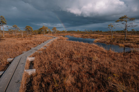 A wooden boardwalk leads through golden marsh grass beside a calm waterway on an overcast day with...