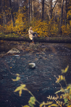 A woman sits on a log over a clear stream, surrounded by colorful autumn foliage.の写真素材
