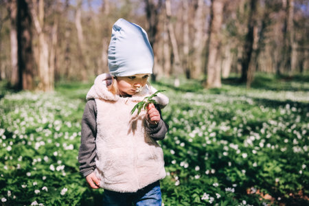 Adorable little girl smells white anemone flowers in the forest covered with flowersの写真素材