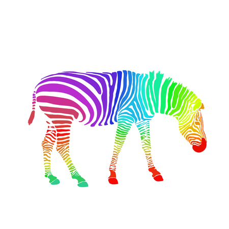 Hand drawn sketch of rainbow colored zebra isolated on white background.のイラスト素材