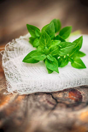 Fresh basil leaves lie on a sterile gauze and wooden table background - macro photographyの写真素材