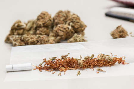 Preparing a cannabis joint with tobacco and rolling paper with marijuana bud on white background. The insinuation of marijuana abuse.の写真素材