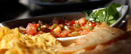 tortilla with tomato salsa close upの写真素材