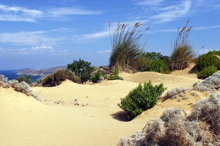 The yellow sandy dunes on Lemnos islandの写真素材