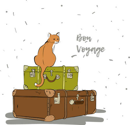 Cute cat sitting on the couple of suitcases, bon voyage illustrationのイラスト素材