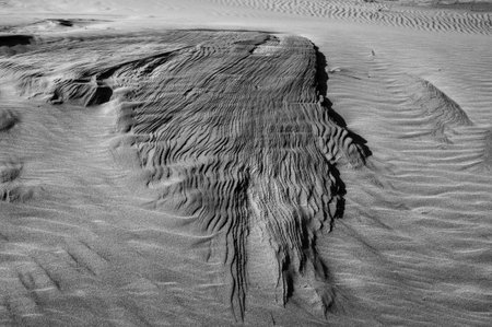 formation in the sand