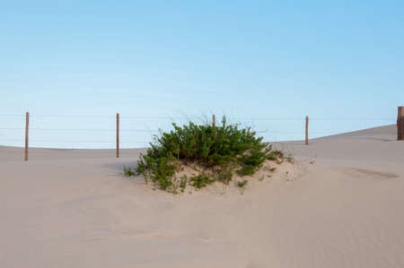 Fence in the Dunes in Praia do Casino, Brazilの写真素材