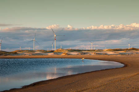 wind turbines in the dunes with a lake and birds in front in the casino beach, Brazil