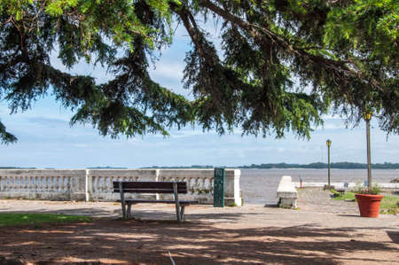 View of a bench in the shadow of a tree with the sea in the backgroundの写真素材