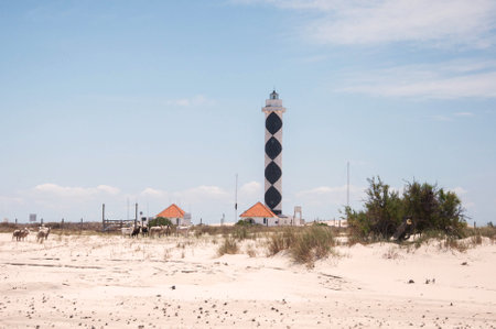 View of the lighthouse of albardÃ£o with blue sky and clouds in the background in Praia do Casino, Brazilのeditorial素材