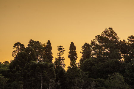 sunset in the mountains in caxias do sul, brazil