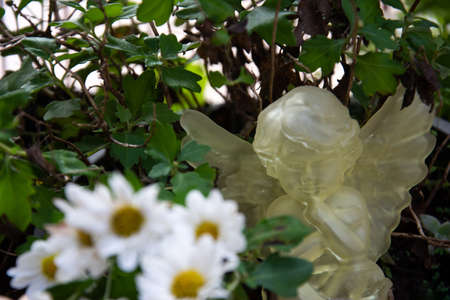 beautiful resin angel in vegetationの写真素材