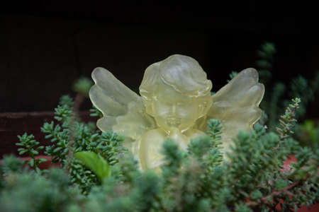 beautiful resin angel in vegetationの写真素材